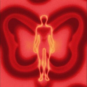 Meet your Posher, Sydney